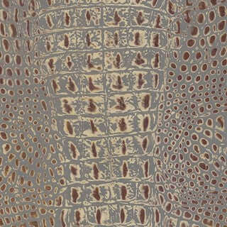 Specialty Grade 7: Crocodiles Pattern