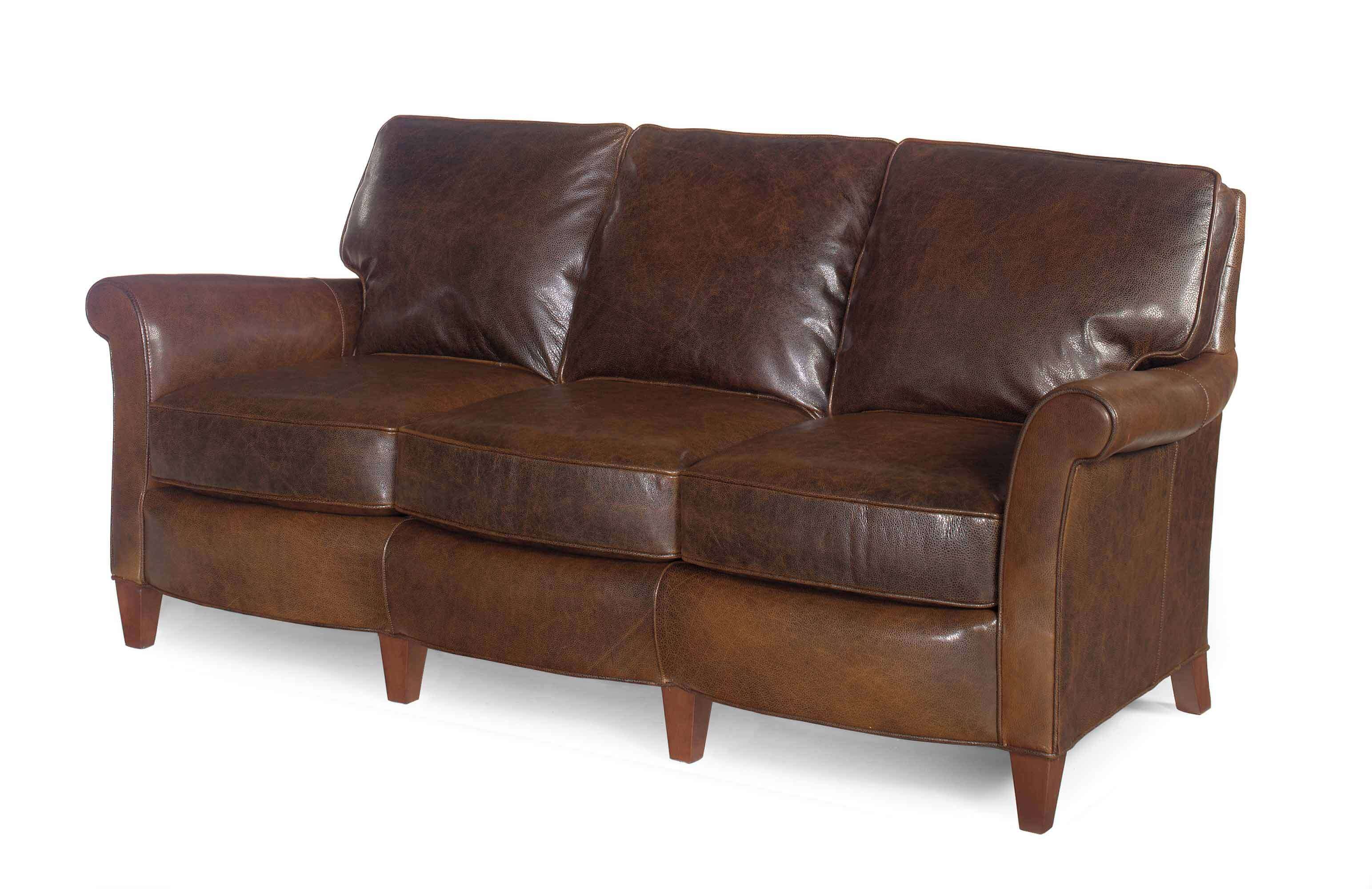 Dino Leather Sofa - Image 3
