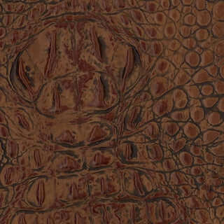 Specialty Grade 5: Gator Pattern