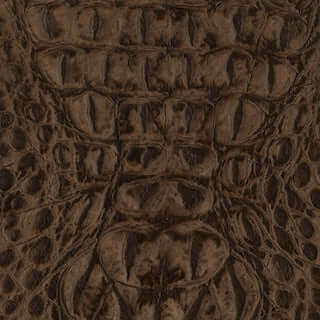 Specialty Grade 5: Gator Pattern - Image 4