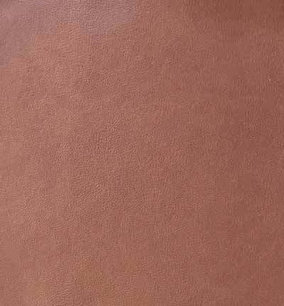 Grade 1: Ivy Pattern - Image 14