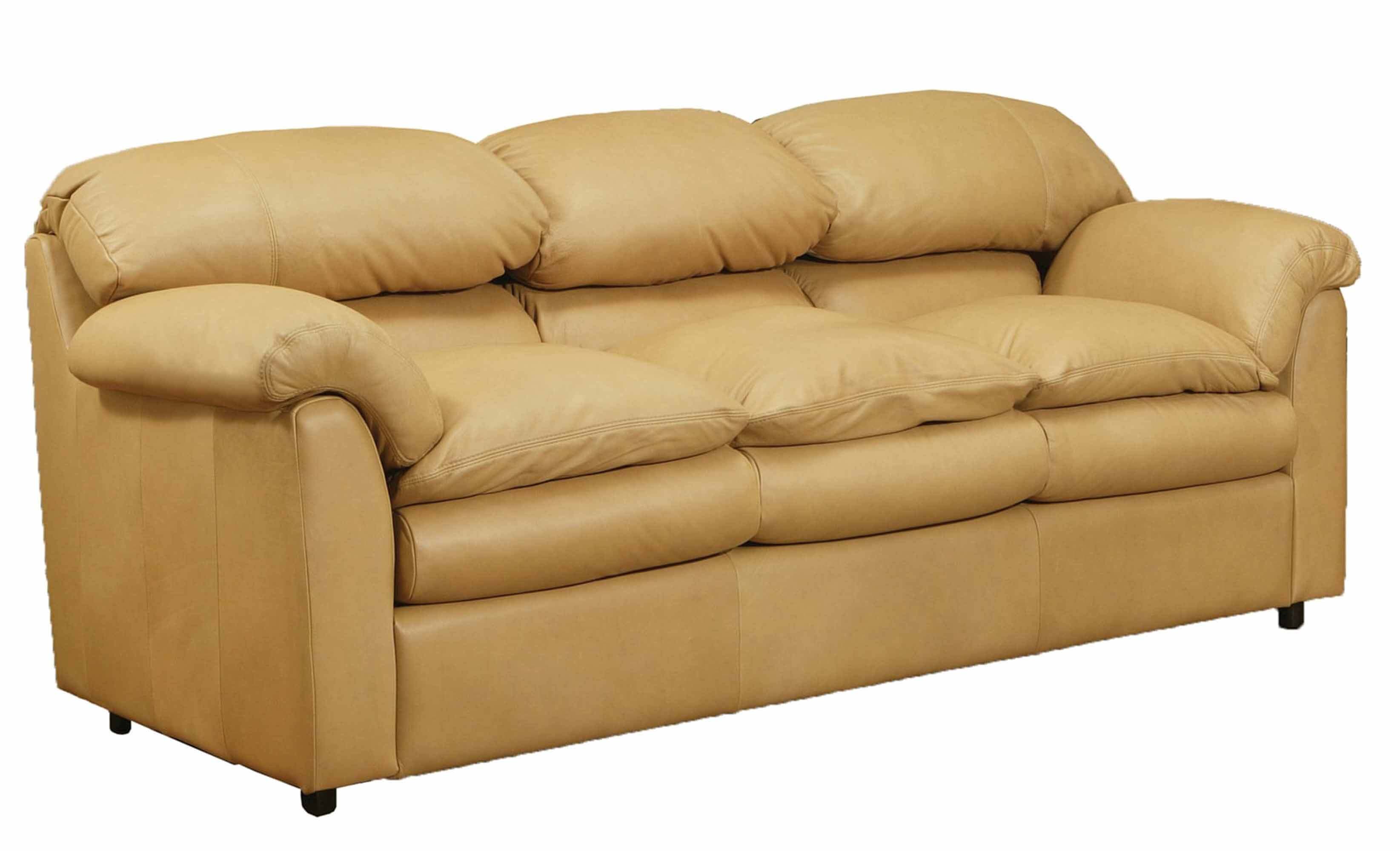 Phoenix Leather Queen Size Sofa Sleeper