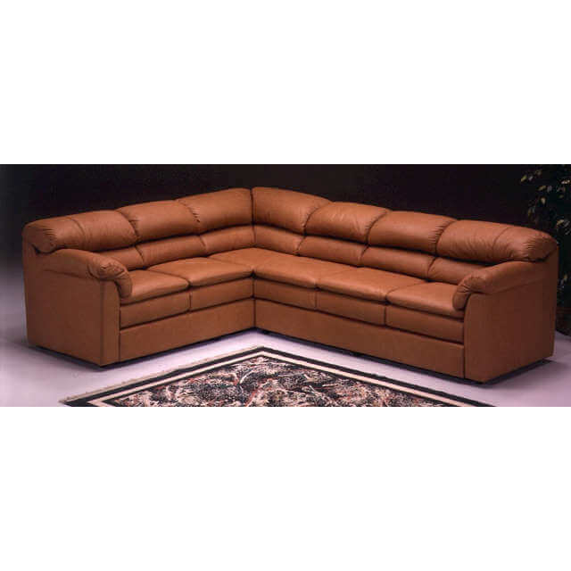 Phoenix Leather Sectional - Image 5