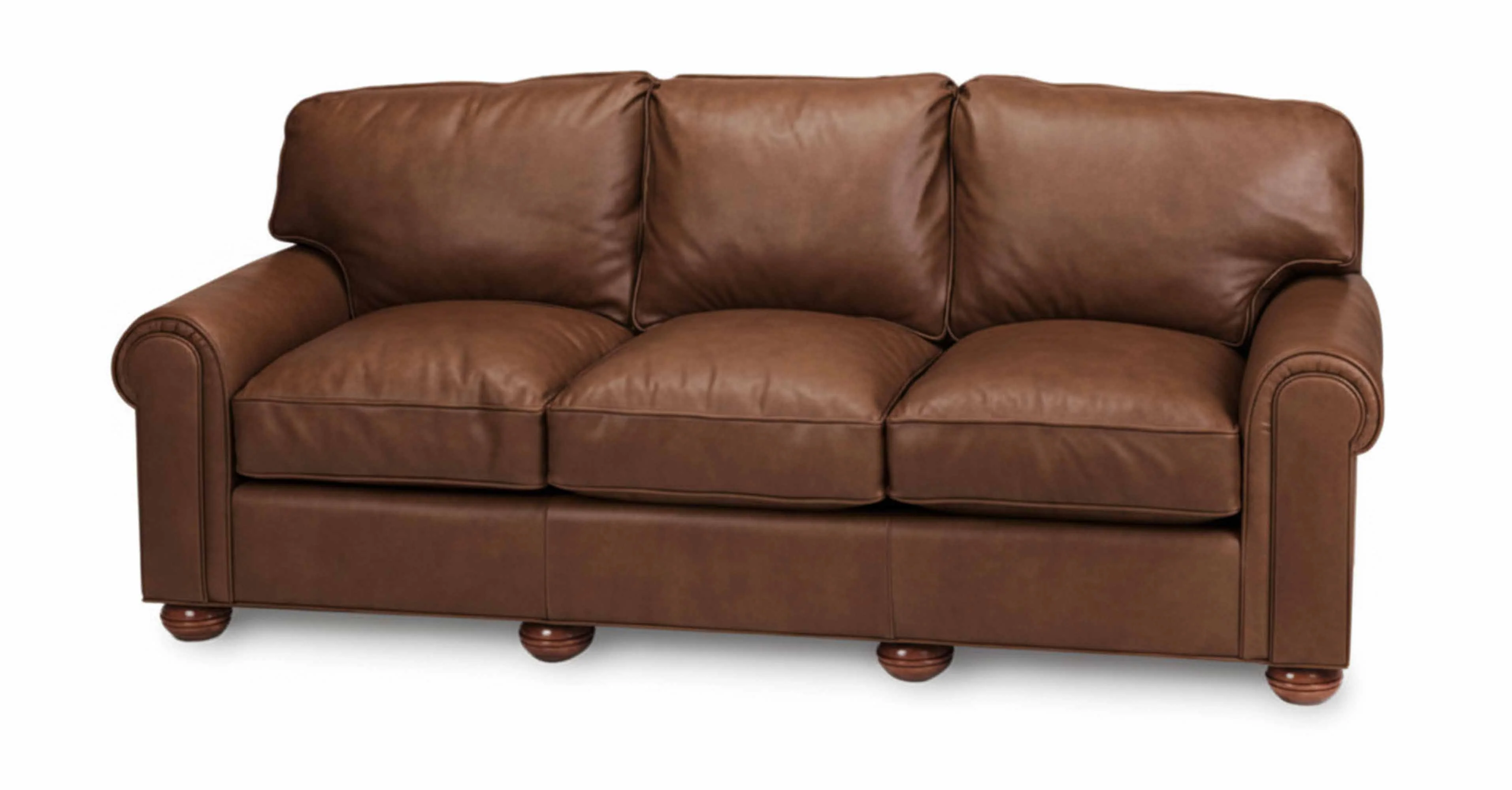 Sig Leather Sleeper Sofa