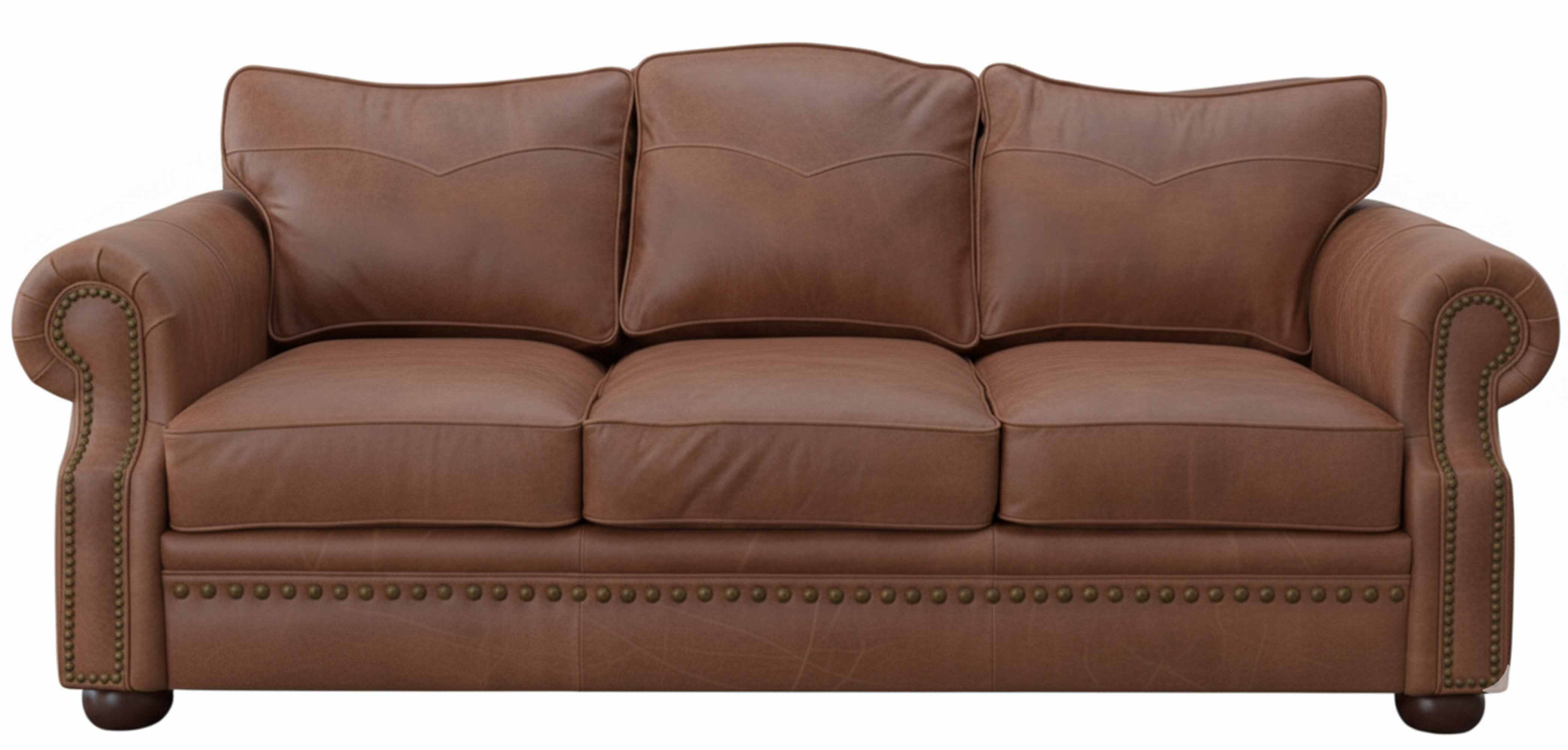 Stetson Leather Queen Size Sofa Sleeper