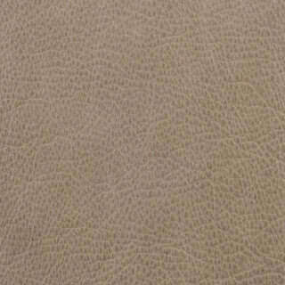 Grade 5: Tex Pattern