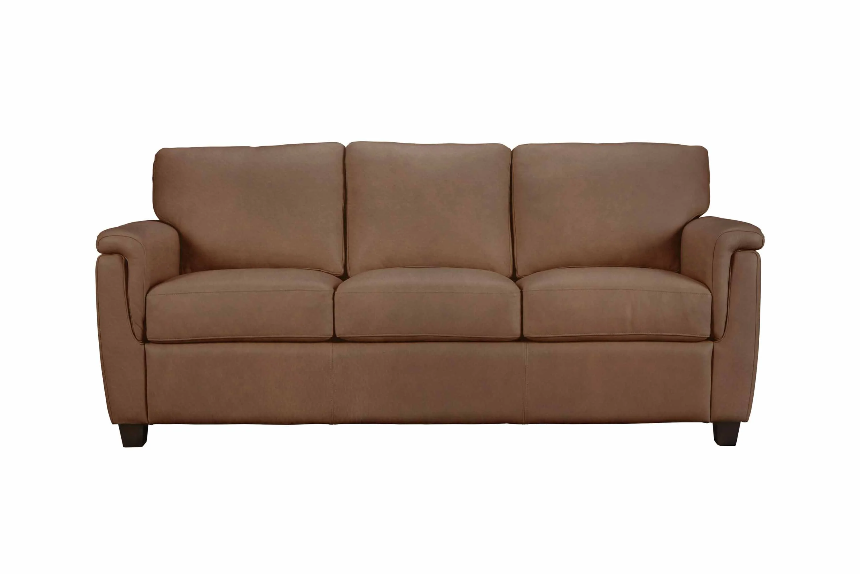 Walter Leather Full Size Sofa Sleeper - Image 4