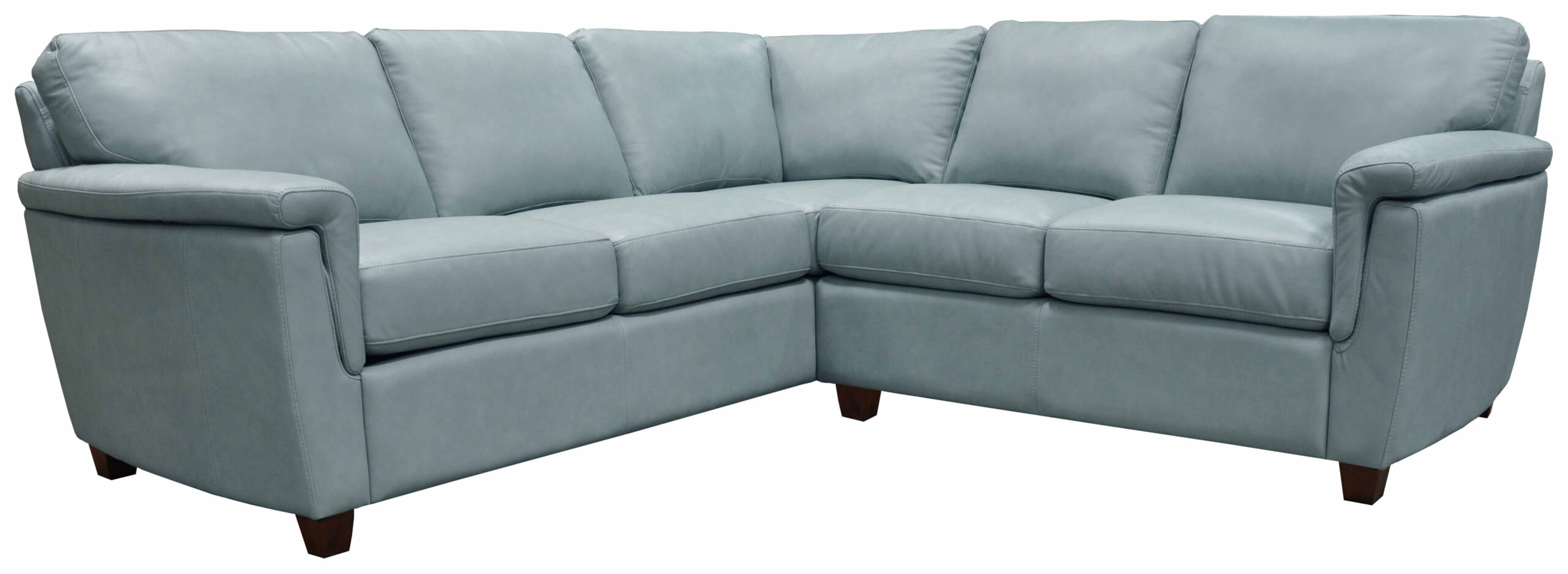 Walter Leather Sectional