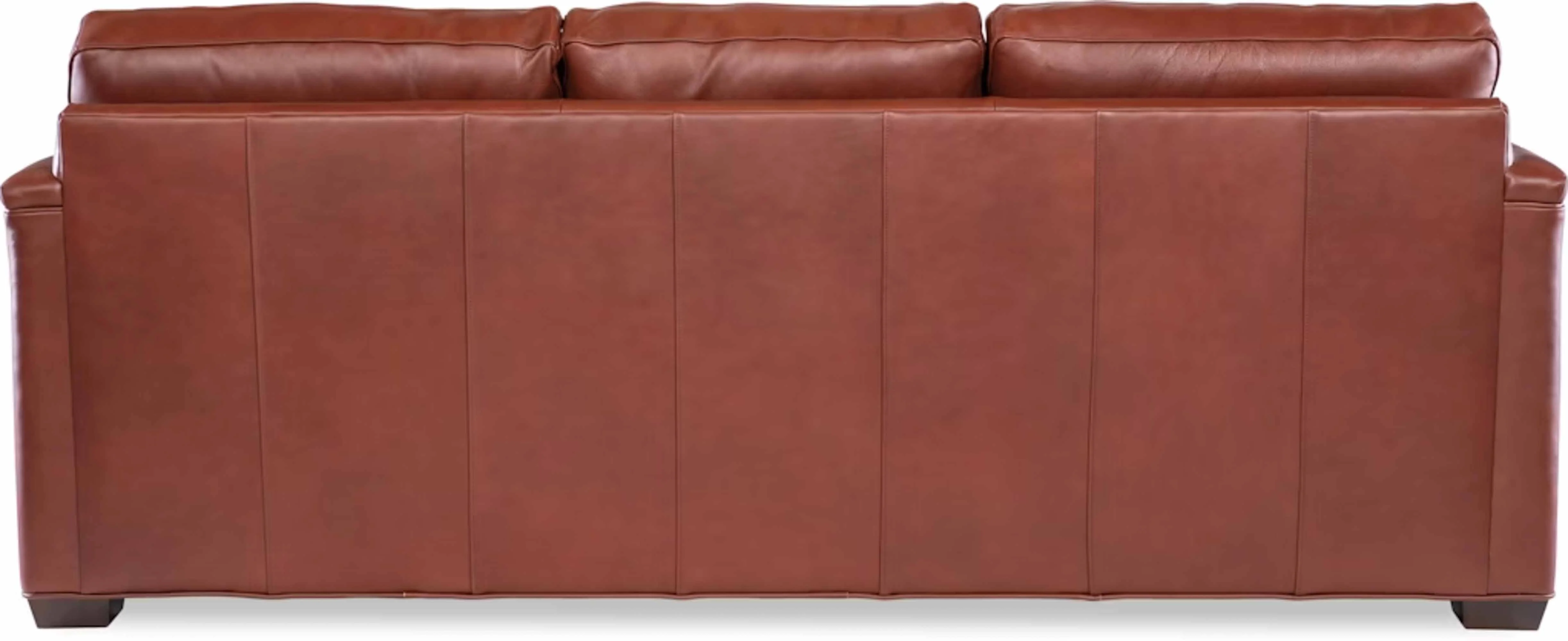 Winter Leather Sofa - Image 10