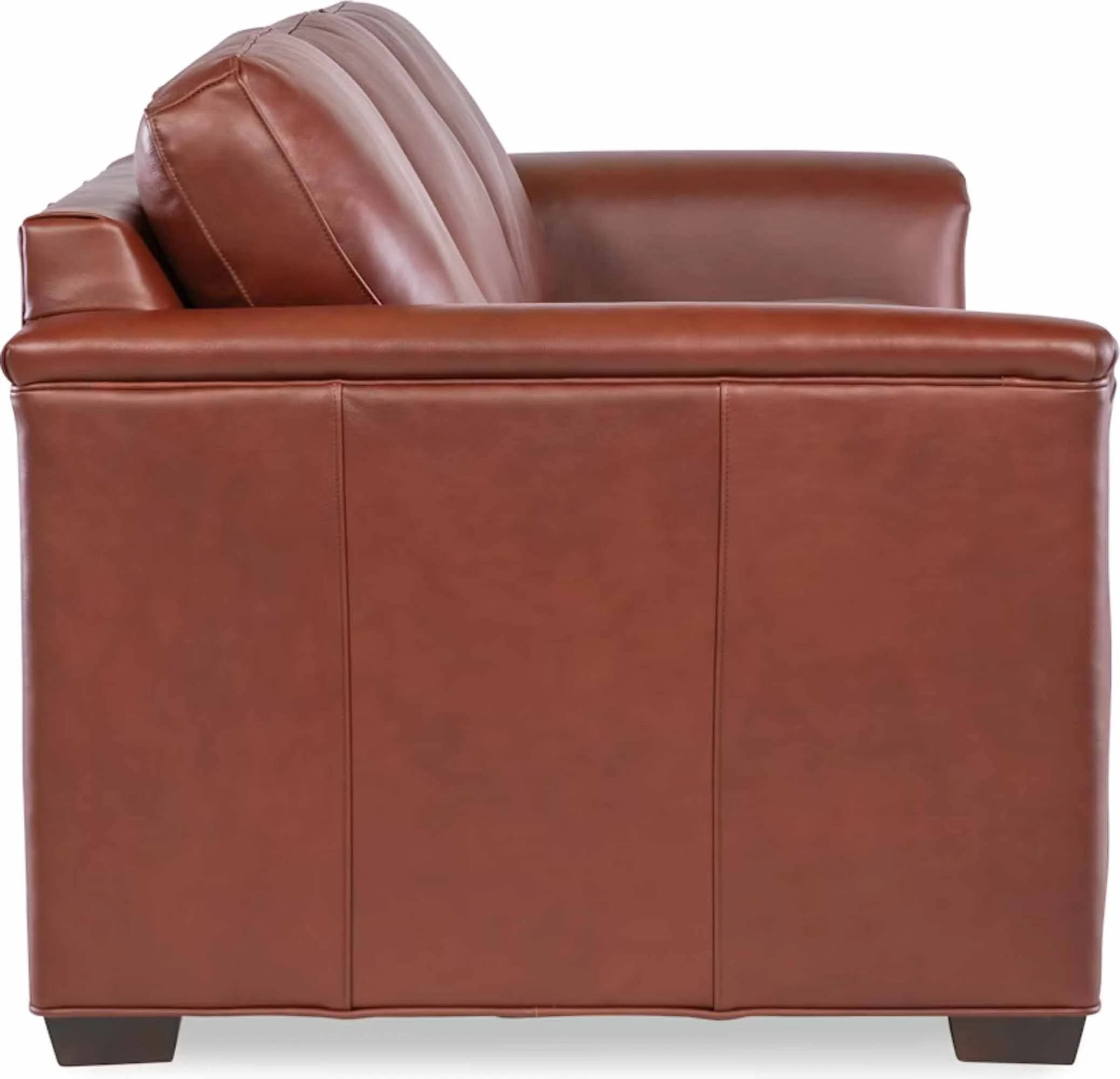 Winter Leather Sofa - Image 9