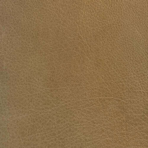 Grade 1: Zuni Pattern - Image 5